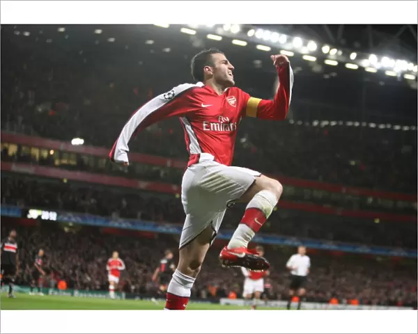Cesc Fabregas celebrates scoring his 2nd Arsenals 3rd goal