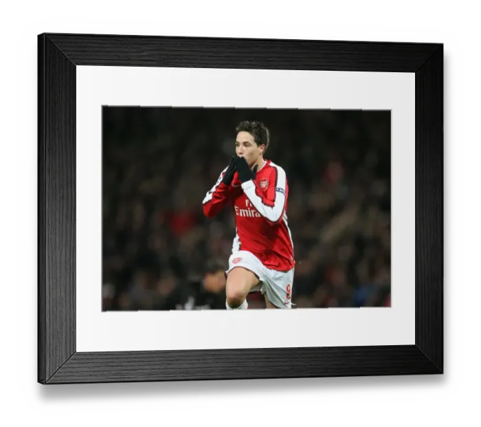Framed Print : Samir Nasri celebrates scoring Arsenals 2nd goal Framed Print : Samir Nasri celebrates scoring Arsenals 2nd goal