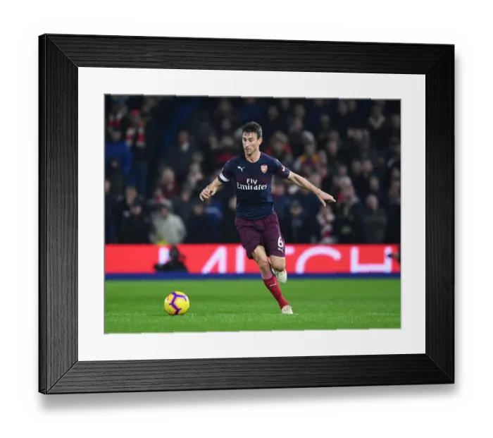Framed Print : Laurent Koscielny Focuses in Arsenal's Premier League Clash against Brighton & Hove Albion Framed Print : Laurent Koscielny Focuses in Arsenal's Premier League Clash against Brighton & Hove Albion