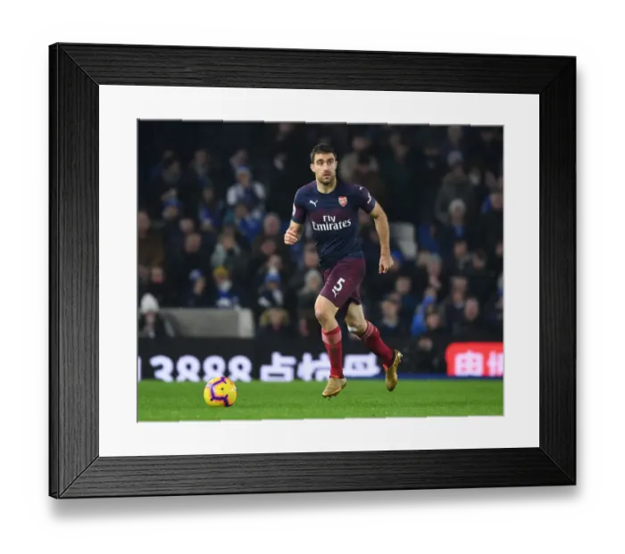Framed Print : Sokratis in Action: Arsenal vs. Brighton & Hove Albion, Premier League 2018-19 Framed Print : Sokratis in Action: Arsenal vs. Brighton & Hove Albion, Premier League 2018-19