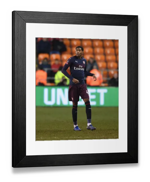 Framed Print : Arsenal's Zech Medley in FA Cup Action against Blackpool Framed Print : Arsenal's Zech Medley in FA Cup Action against Blackpool