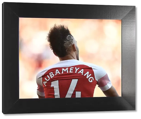 Arsenal's Aubameyang Shines in Arsenal vs. Southampton Premier League Clash, 2018-19