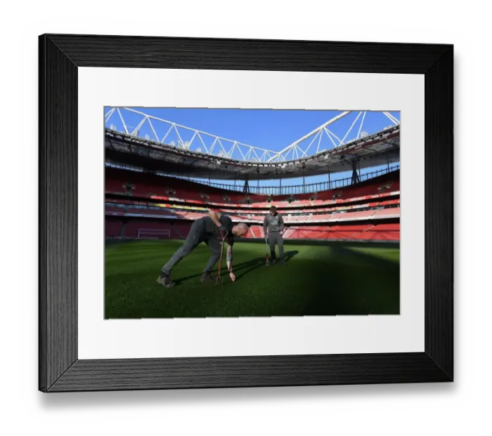 Framed Print : Arsenal Groundsmen Prepare Meticulously for Emirates Stadium Pitch Ahead of Arsenal v AFC Bournemouth Match