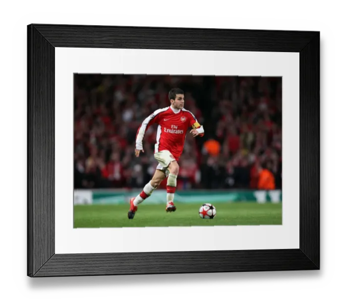 Framed Print : Cesc Fabregas Leads Arsenal to 2-0 Victory over Standard Liege in Champions League Group H