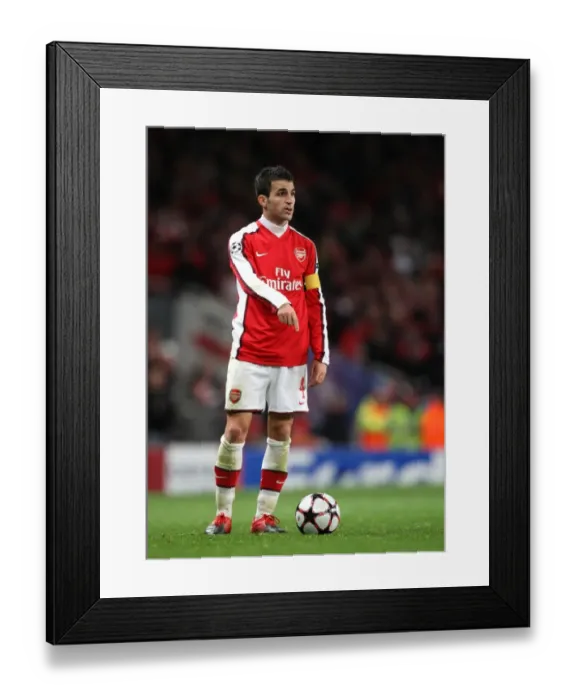 Framed Print : Cesc Fabregas Leadership: Arsenal's 2-0 Victory over Standard Liege in Champions League Group H