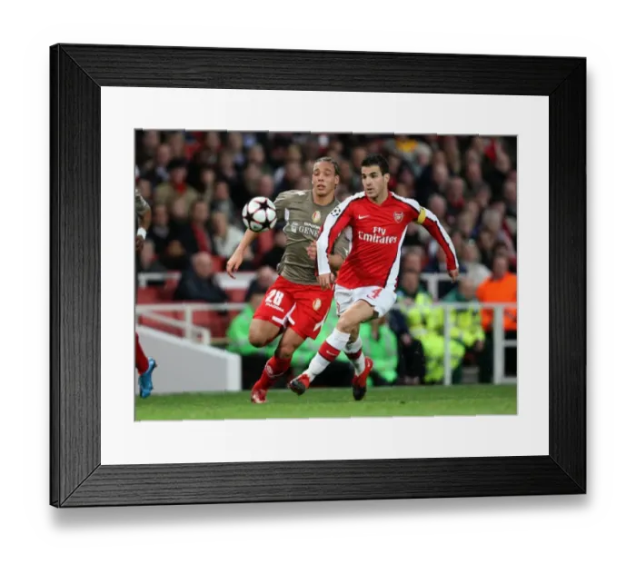 Framed Print : Cesc Fabregas (Arsenal) Axel Witsel (Liege)