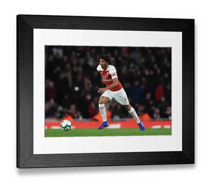 Framed Print : Mohamed Elneny (Arsenal). Arsenal 2:0 Newcastle United Framed Print : Mohamed Elneny (Arsenal). Arsenal 2:0 Newcastle United