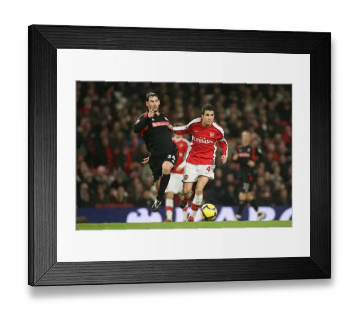 Framed Print : Cesc Fabregas (Arsenal) Rory Delap (Stoke City). Arsenal 2: 0 Stoke City
