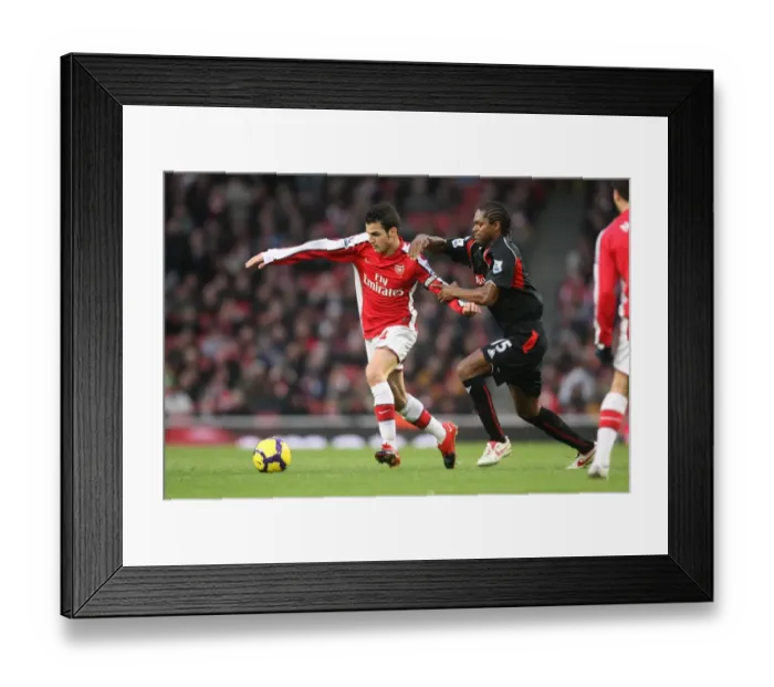 Framed Print : Cesc Fabregas (Arsenal) Salif Diao (Stoke City). Arsenal 2: 0 Stoke City