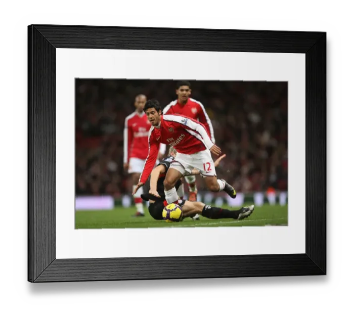 Framed Print : Carlos Vela (Arsenal) Liam Lawrence (Stoke City). Arsenal 2: 0 Stoke City Framed Print : Carlos Vela (Arsenal) Liam Lawrence (Stoke City). Arsenal 2: 0 Stoke City