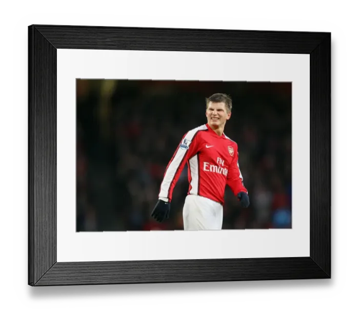 Framed Print : Andrey Arshavin (Arsenal). Arsenal 2: 0 Stoke City. Barclays Premier League Framed Print : Andrey Arshavin (Arsenal). Arsenal 2: 0 Stoke City. Barclays Premier League