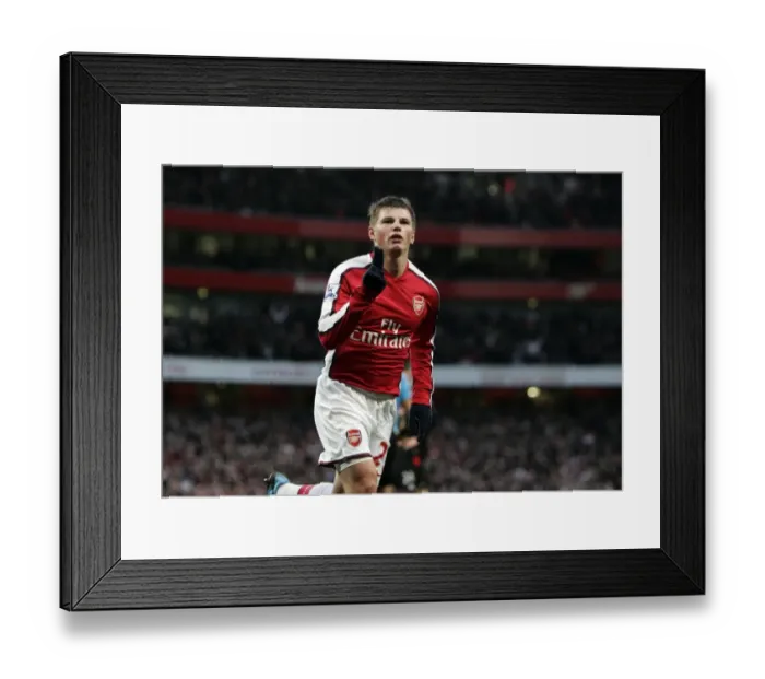 Framed Print : Arshavin's Strike: Arsenal Takes the Lead 2-0 Against Stoke City Framed Print : Arshavin's Strike: Arsenal Takes the Lead 2-0 Against Stoke City