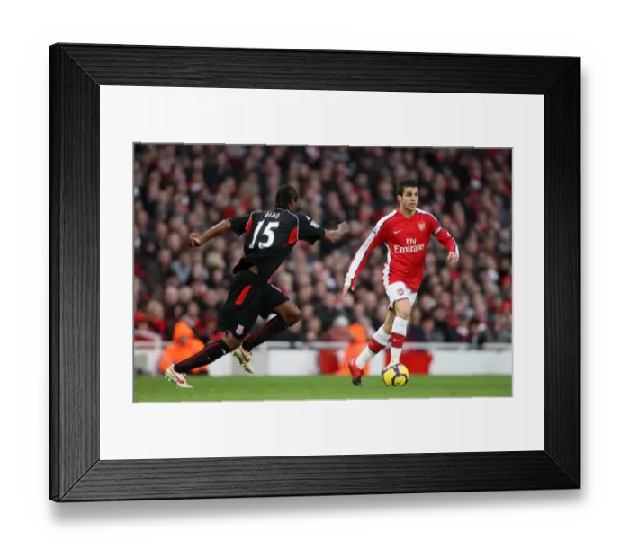Framed Print : Cesc Fabregas (Arsenal) Salif Diao (Stoke). Arsenal 2: 0 Stoke City. Barclays Premier League Framed Print : Cesc Fabregas (Arsenal) Salif Diao (Stoke). Arsenal 2: 0 Stoke City. Barclays Premier League