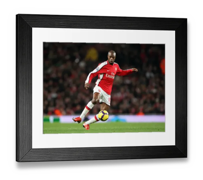 Framed Print : William Gallas Leads Arsenal to 2-0 Victory over Stoke City in the Barclays Premier League Framed Print : William Gallas Leads Arsenal to 2-0 Victory over Stoke City in the Barclays Premier League