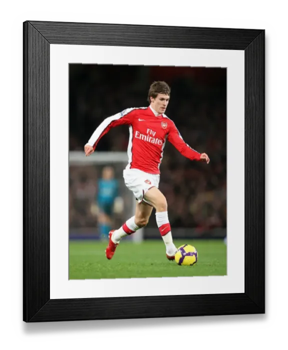 Framed Print : Aaron Ramsey Scores the Winning Goal: Arsenal's 2-0 Victory over Stoke City (Barclays Premier League, 2009-10) Framed Print : Aaron Ramsey Scores the Winning Goal: Arsenal's 2-0 Victory over Stoke City (Barclays Premier League, 2009-10)