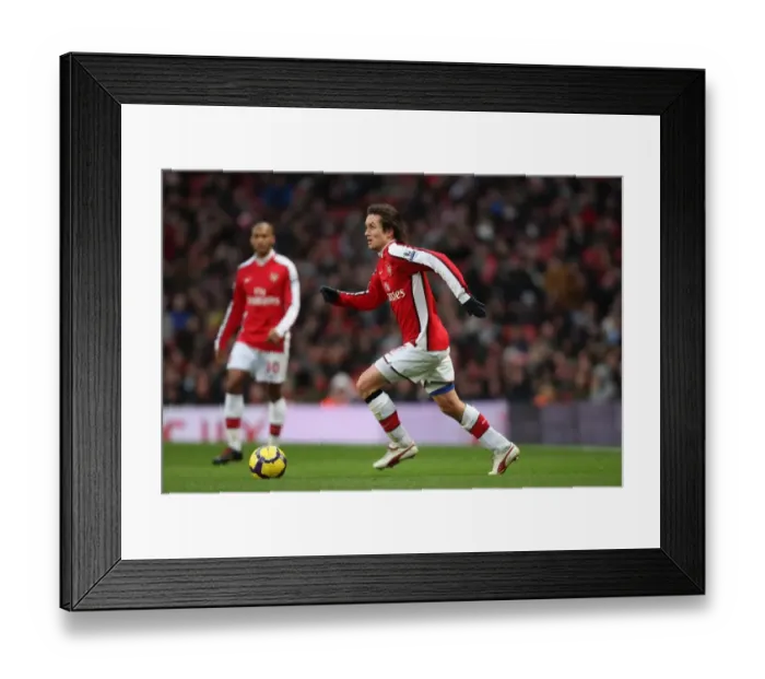 Framed Print : Tomas Rosicky (Arsenal). Arsenal 2: 0 Stoke City. Barclays Premier League Framed Print : Tomas Rosicky (Arsenal). Arsenal 2: 0 Stoke City. Barclays Premier League