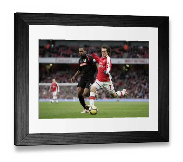 Framed Print : Tomas Rosicky (Arsenal) Salif Diao (Stoke). Arsenal 2: 0 Stoke City. Barclays Premier League