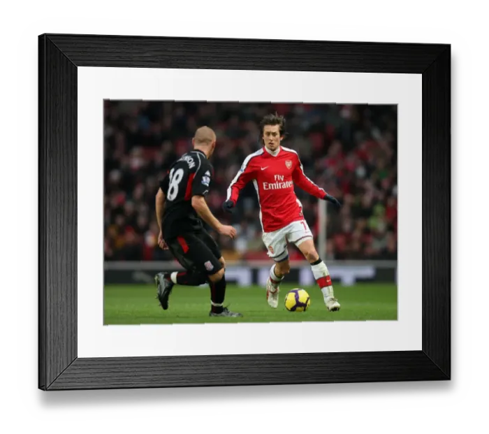 Framed Print : Tomas Rosicky (Arsenal) Andy Wilkinson (Stoke). Arsenal 2: 0 Stoke City Framed Print : Tomas Rosicky (Arsenal) Andy Wilkinson (Stoke). Arsenal 2: 0 Stoke City