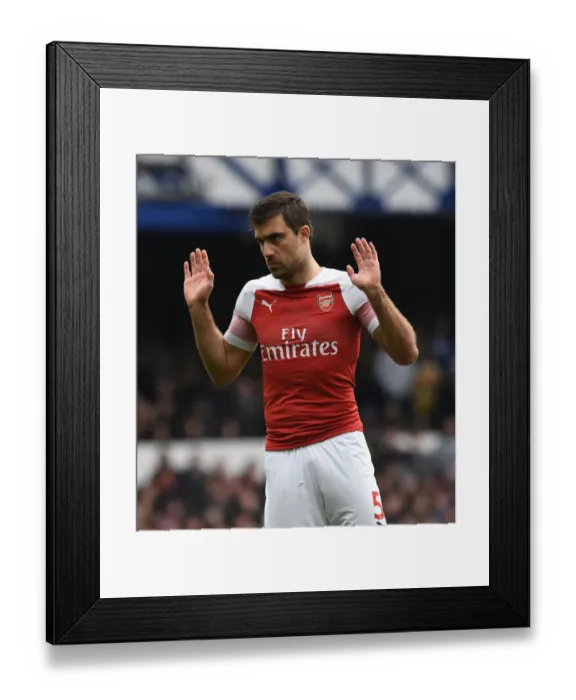 Framed Print : Sokratis in Action: Everton vs Arsenal, Premier League 2018-19 Framed Print : Sokratis in Action: Everton vs Arsenal, Premier League 2018-19