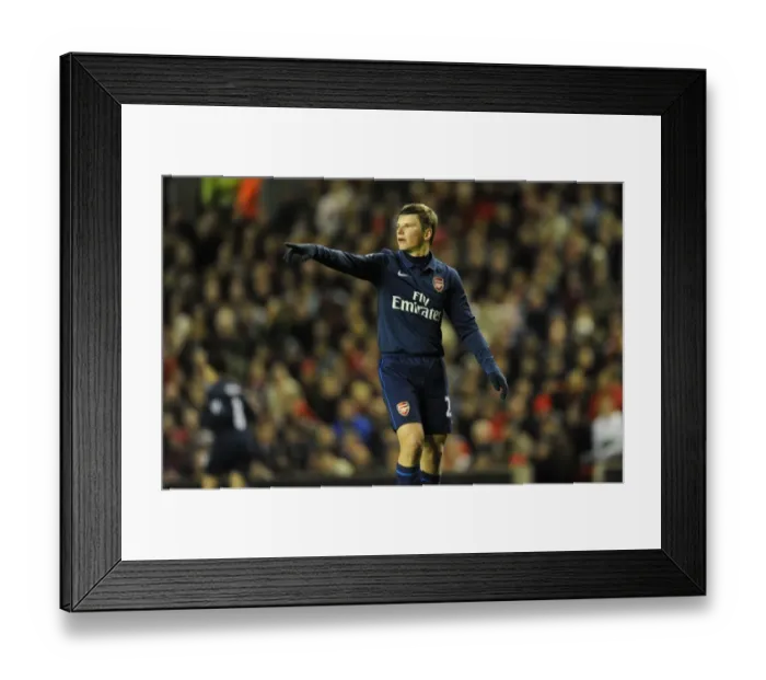 Framed Print : Andrey Arshavin (Arsenal). Liverpool 1: 2 Arsenal, Barclays Premier League