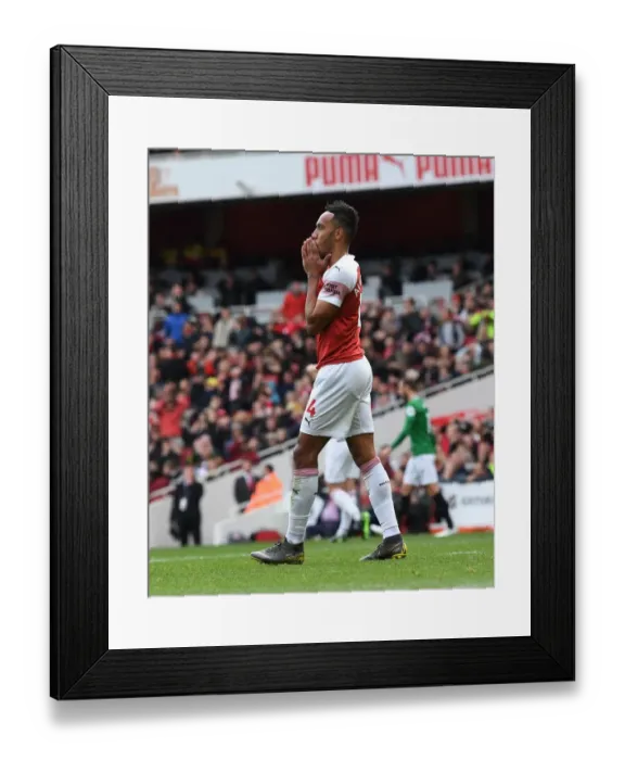 Framed Print : Aubameyang's Brilliance: Arsenal Outshines Brighton in Premier League Showdown Framed Print : Aubameyang's Brilliance: Arsenal Outshines Brighton in Premier League Showdown