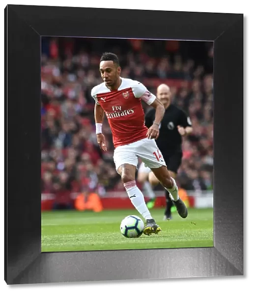 Pierre-Emerick Aubameyang in Action for Arsenal Against Brighton & Hove Albion, Premier League 2018-19