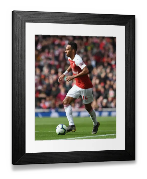 Framed Print : Arsenal's Aubameyang Scores Twice: Arsenal Outshine Brighton in Premier League Clash