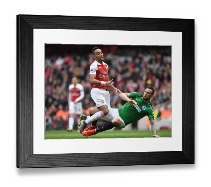 Framed Print : Clash at the Emirates: Aubameyang vs. Duffy in Arsenal's Battle Against Brighton Framed Print : Clash at the Emirates: Aubameyang vs. Duffy in Arsenal's Battle Against Brighton