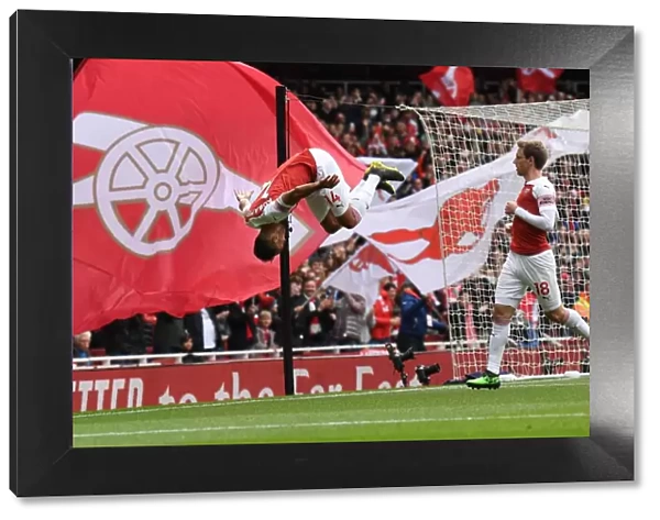 Arsenal's Aubameyang Scores Thrilling Goal vs Brighton (2018-19)