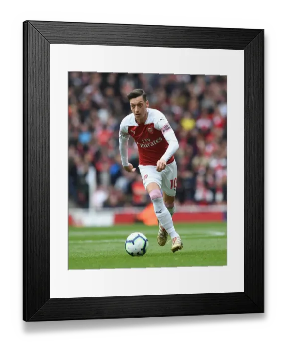 Framed Print : Mesut Ozil in Action: Arsenal vs Brighton & Hove Albion, Premier League 2018-19 Framed Print : Mesut Ozil in Action: Arsenal vs Brighton & Hove Albion, Premier League 2018-19