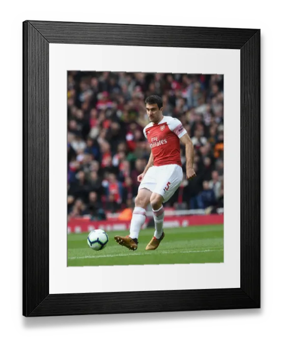 Framed Print : Sokratis in Action: Arsenal vs Brighton & Hove Albion, Premier League 2018-19