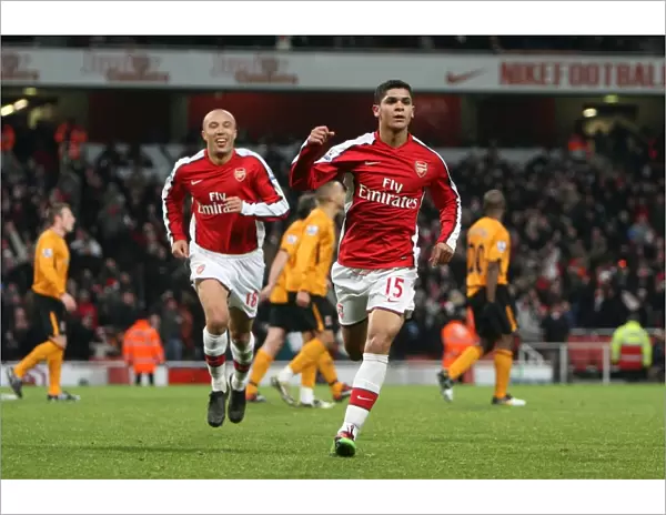 Denilson's Goal: Arsenal's First in 3:0 Victory over Hull City, Barclays Premier League, Emirates Stadium (December 19, 2009)