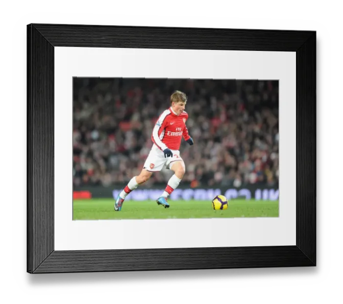 Framed Print : Andrey Arshavin (Arsenal). Arsenal 3: 0 Hull City, Barclays Premier league Framed Print : Andrey Arshavin (Arsenal). Arsenal 3: 0 Hull City, Barclays Premier league