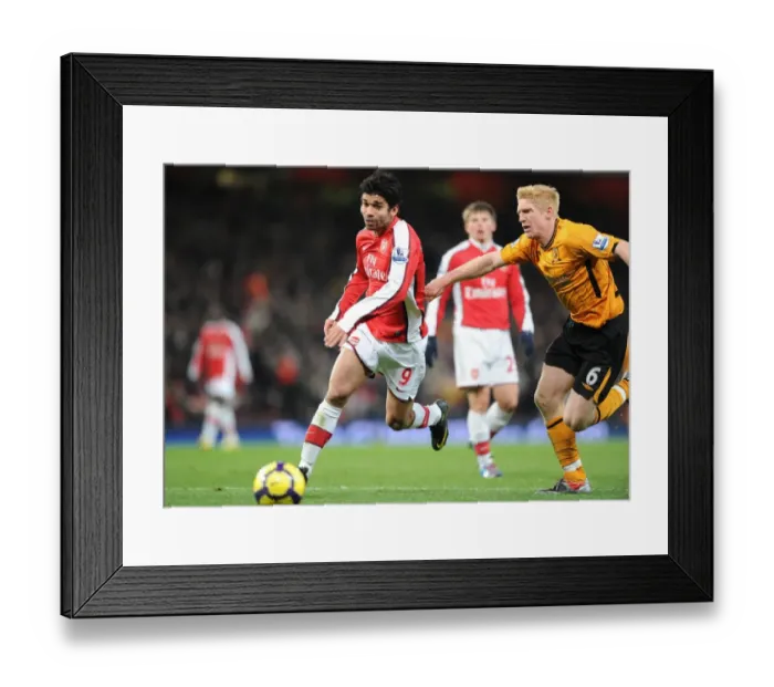 Framed Print : Eduardo (Arsenal) Paul McShane (Hull). Arsenal 3: 0 Hull City, Barclays Premier league