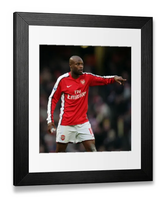 Framed Print : William Gallas (Arsenal). Arsenal 3: 0 Aston Villa. Barclays Premier League Framed Print : William Gallas (Arsenal). Arsenal 3: 0 Aston Villa. Barclays Premier League