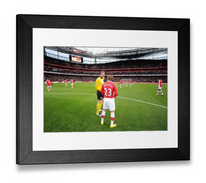 Framed Print : Manuel Almunia and Andrey Arshavin (Arsenal). Arsenal 3: 0 Aston Villa, Barclays Premier League