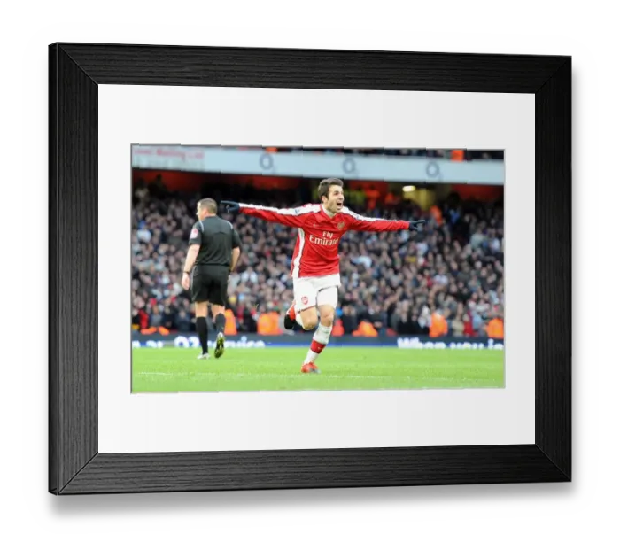 Framed Print : Cesc Fabregas Euphoric Moment: Arsenal's First Goal Against Aston Villa (3-0), Barclays Premier League, 2009 Framed Print : Cesc Fabregas Euphoric Moment: Arsenal's First Goal Against Aston Villa (3-0), Barclays Premier League, 2009