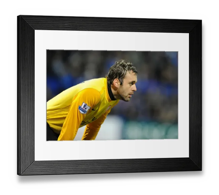 Framed Print : Manuel Almunia (Arsenal). Portsmouth 1: 4 Arsenal, Barclays Premier League Framed Print : Manuel Almunia (Arsenal). Portsmouth 1: 4 Arsenal, Barclays Premier League
