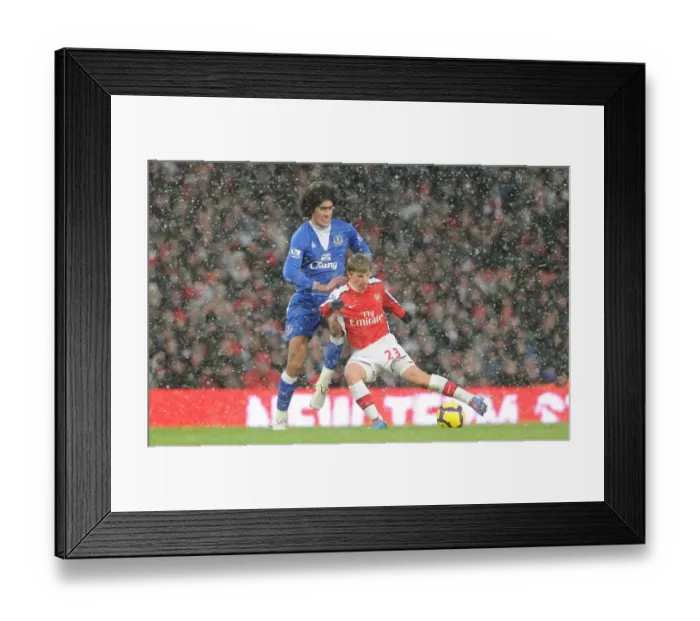 Framed Print : Ardrey Arshavin (Arsenal) Marouana Fellaini (Everton). Arsenal 2: 2 Everton Framed Print : Ardrey Arshavin (Arsenal) Marouana Fellaini (Everton). Arsenal 2: 2 Everton