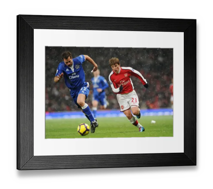 Framed Print : Ardrey Arshavin (Arsenal) Lucas Neill (Everton). Arsenal 2: 2 Everton, Barclays Premier League