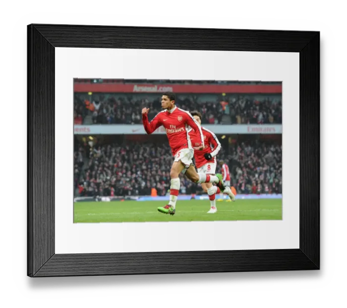 Framed Print : Denilson celebrates scoring the 1st Arsenal goal. Arsenal 2: 2 Everton, Barclays Premier League