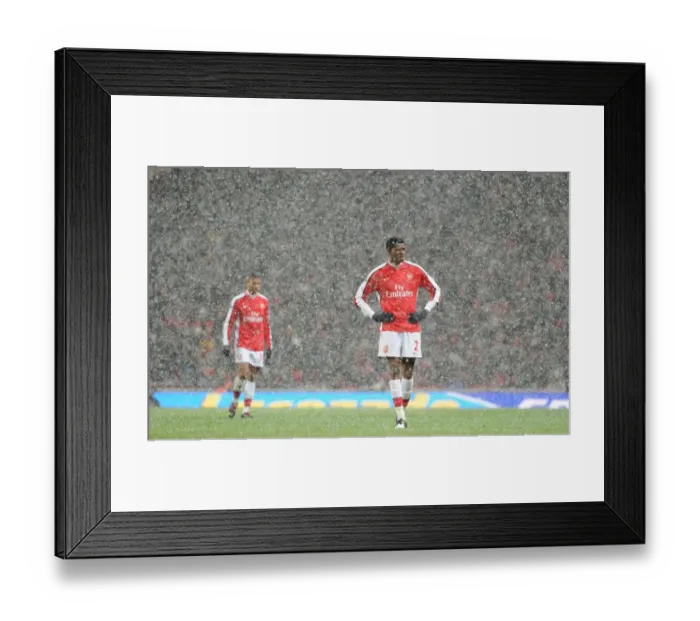Framed Print : Abou Diaby: Arsenal's Midfield Battle at Emirates Against Everton (2-2), Barclays Premier League