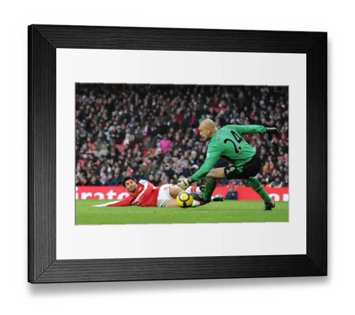 Framed Print : Arsenal vs Everton: Eduardo vs Tim Howard - 2-2 Stalemate at Emirates Stadium