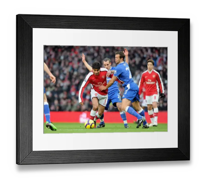Framed Print : Eduardo (Arsenal) Lucas Neill (Everton). Arsenal 2: 2 Everton, Barclays Premier League