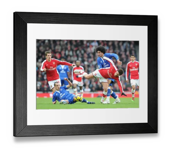 Framed Print : Samir Nasri (Arsenal) Marouane Fellaini and Leon Osman (Everton). Arsenal 2: 2 Everton