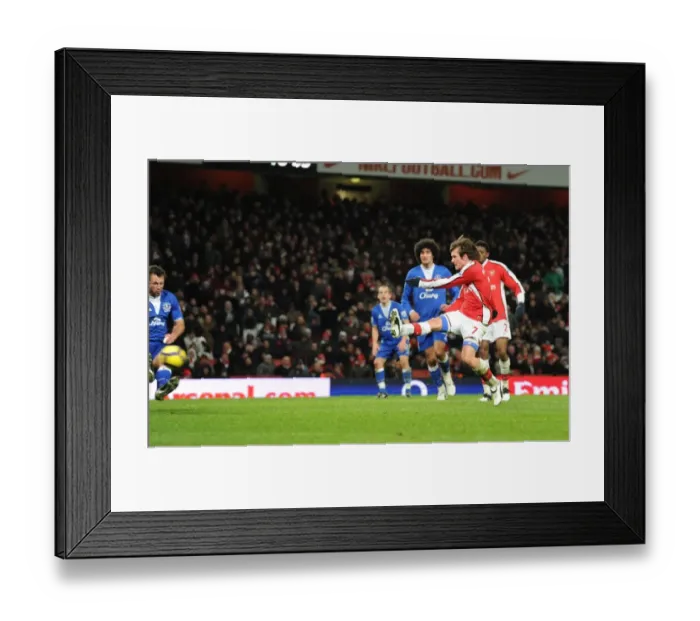 Framed Print : Rosicky Stuns Everton: Dramatic Goal Brings Arsenal Level