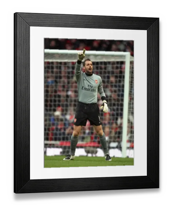 Framed Print : Manuel Almunia (Arsenal). Arsenal 2: 2 Everton. Barclays Premier League Framed Print : Manuel Almunia (Arsenal). Arsenal 2: 2 Everton. Barclays Premier League