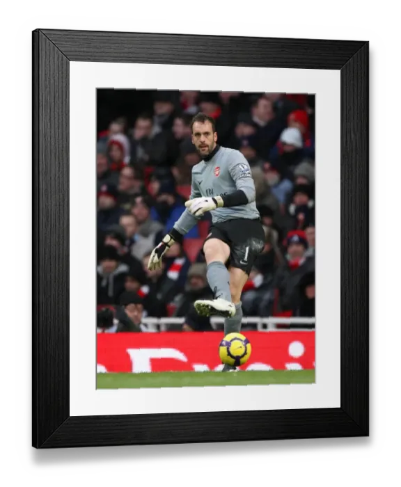 Framed Print : Dramatic Save by Manuel Almunia: Arsenal vs. Everton, Barclays Premier League (2010)