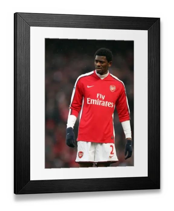 Framed Print : Abou Diaby of Arsenal Ties 2-2 with Everton in Barclays Premier League at Emirates Stadium, January 9, 2010
