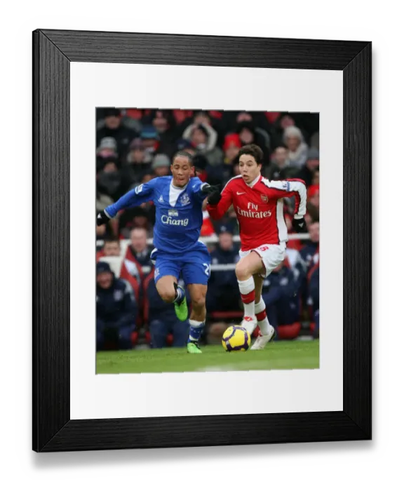 Framed Print : Samir Nasri (Arsenal) Steven Pienaar (Everton). Arsenal 2: 2 Everton. Barclays Premier League